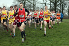 Senior boys 2019 New Balance English Schools Cross Country Champs, Temple Newsam, Leeds. Photo:  David T. Hewitson/Sports for All Pics